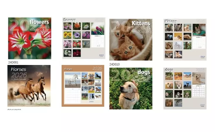 Seinäkalenteri 2026 Vuosikalenteri - Seinäkalenterit - 128800 - 1