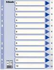Rekisteri 1-12 A4 ESSELTE muovi - Rekisterisarjat, muoviset - 127383 - 1
