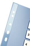 Rekisteri 1-31 A4 ESSELTE muovi - Rekisterisarjat, muoviset - 127563 - 3