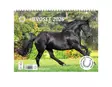 Hevoset - Seinäkalenterit - 185283 - 1
