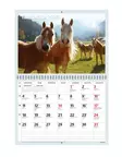 Hevoset - Seinäkalenterit - 185283 - 2