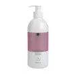 Käsihuuhde 500ml ABENA - Käsihuuhteet - 168673 - 1