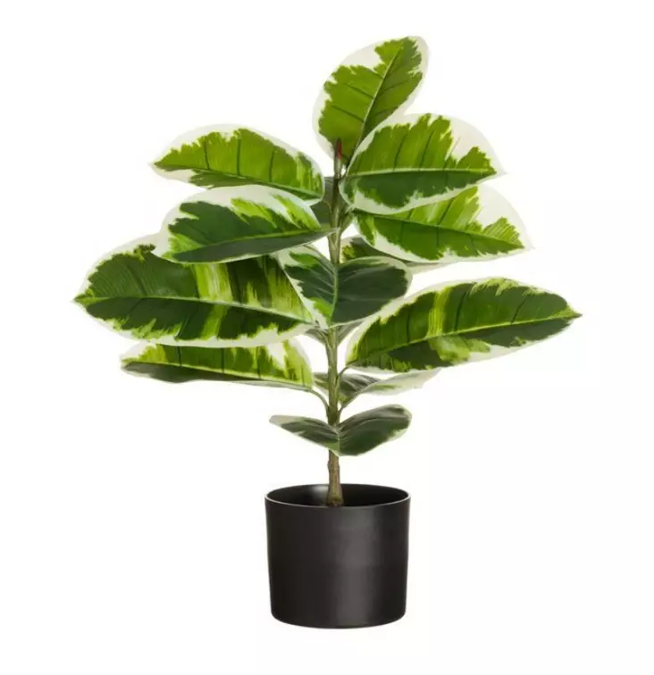 Viherkasvi Kumipuu 60cm 4LIVING - Tekokukat - 187503 - 1