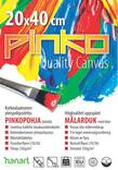 Maalauspohja Pinko 20x40cm 300g - Askartelutarvikkeet/kartongit - 150414 - 1
