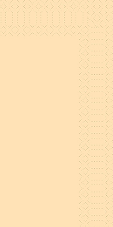 Lautasliina 33x33cm 1/8 DUNI Tissue - Servietit ja lautasliinat - 154624 - 1