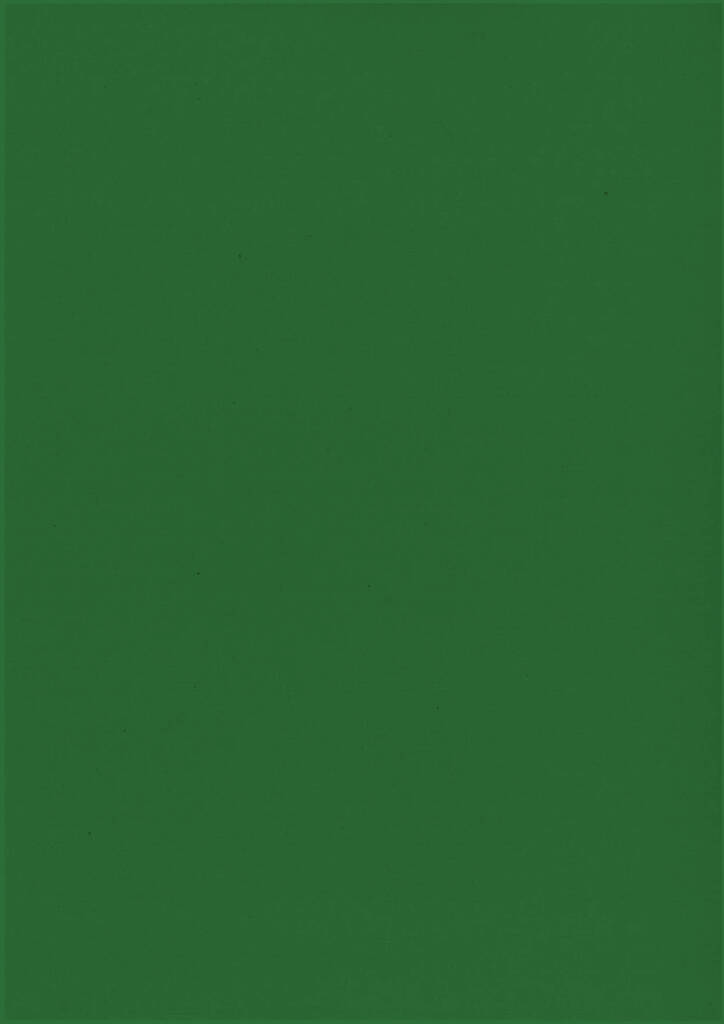 Kartonki A4 220g - Askartelutarvikkeet - 136206 - 1