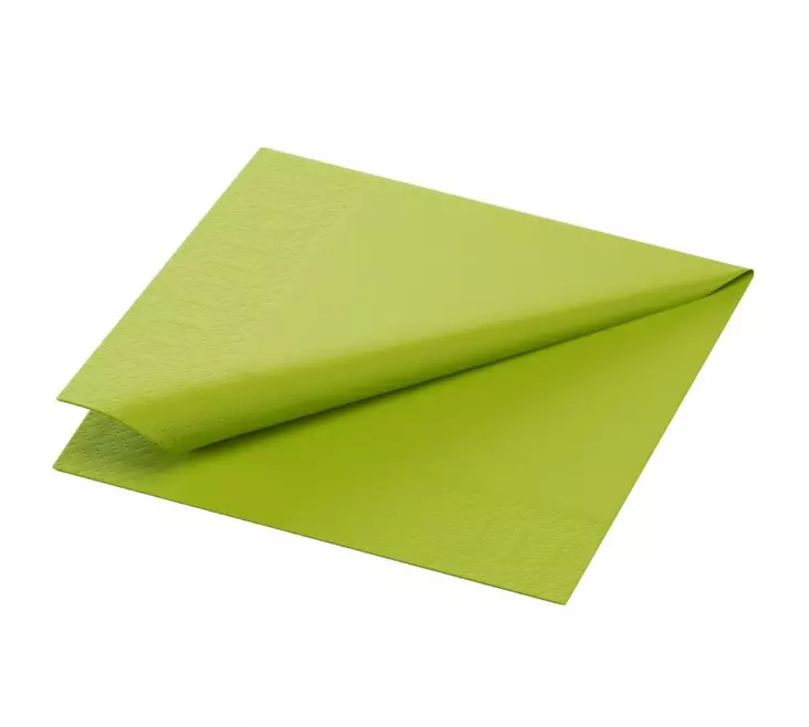 Lautasliina 24x24cm 1/4 DUNI Tissue - Servietit ja lautasliinat - 130346 - 1