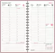 Agenda, ruusukulta - Taskukalenterit - 189388 - 2