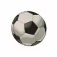 Matto 100cm 4LIVING Futis - Matot - 190219 - 1